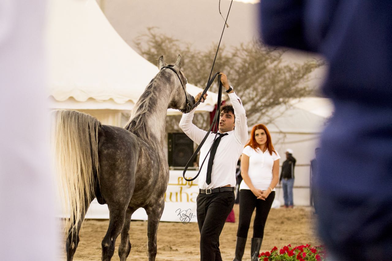 Fujairah National Arabian Horse Show
