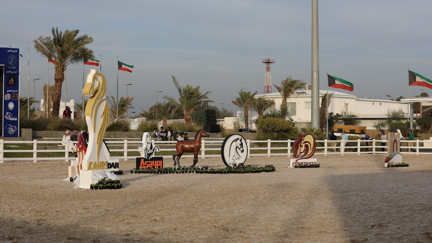 2017 Kuwait Arabian Horse Breeders Show - photo by Michael Steurs