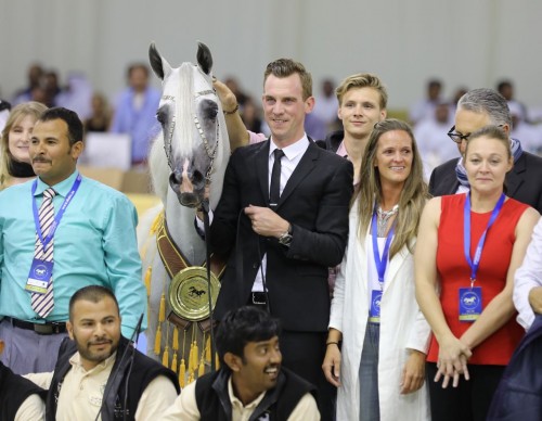 2017 Dubai Arabian Horse Championship - Excalibur EA